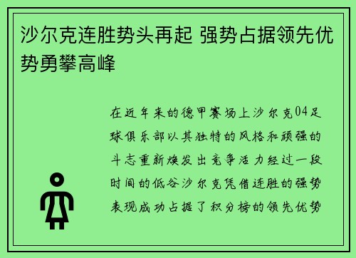 沙尔克连胜势头再起 强势占据领先优势勇攀高峰