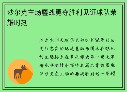 沙尔克主场鏖战勇夺胜利见证球队荣耀时刻