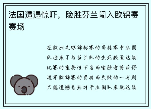 法国遭遇惊吓，险胜芬兰闯入欧锦赛赛场