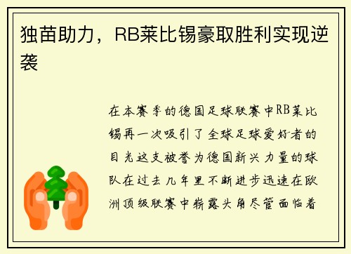 独苗助力，RB莱比锡豪取胜利实现逆袭